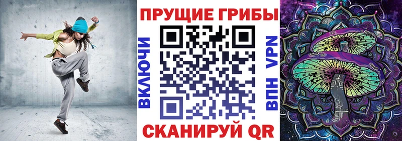 Купить закладки  Биробиджан  Псилоцибиновые грибы MAGIC MUSHROOMS 